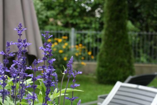 Hotel Villa Solln