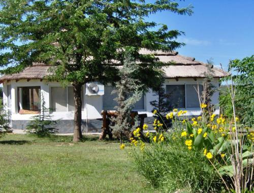 Lodge Caba�as El Vallecito