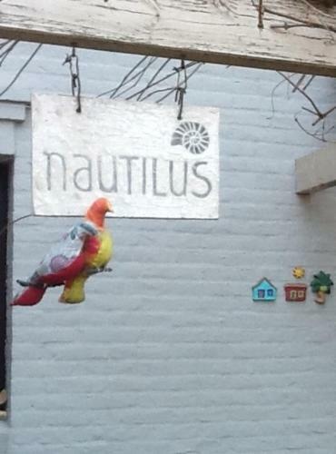 Nautilus B&B