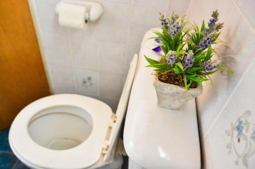 Apartamento El Quincho