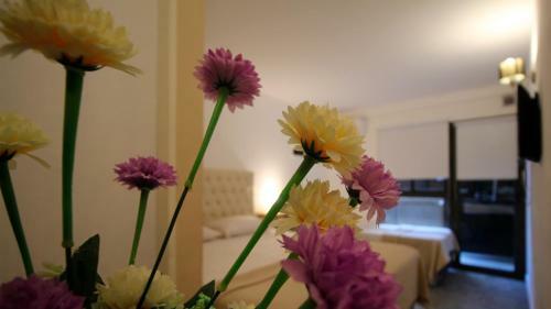 Aparthotel Puerto Tigre