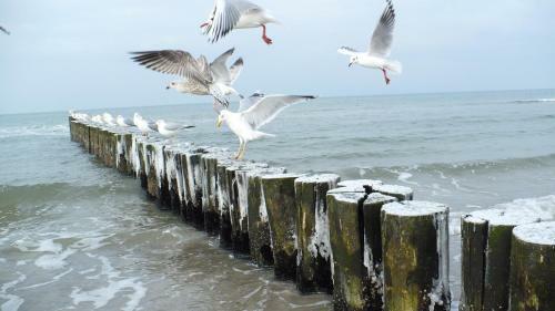 Zimmer In Hafenn�he