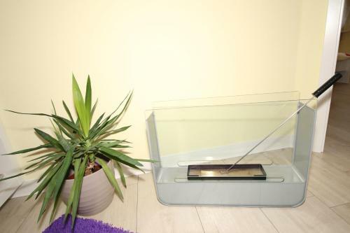 Apartamento Stadtvilla Sommerfrische