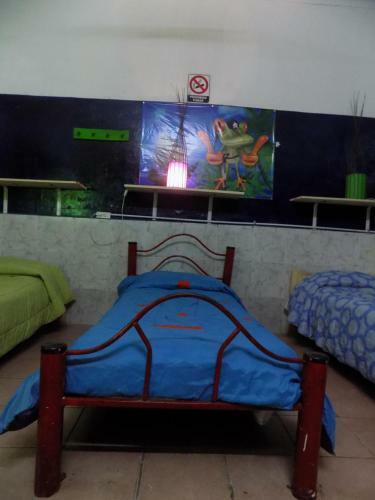 Albergue Hospedaje La Rana