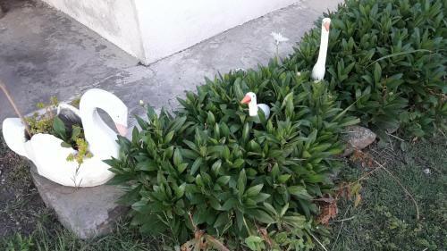 Apartamento Rancho Viejo La Cumbre