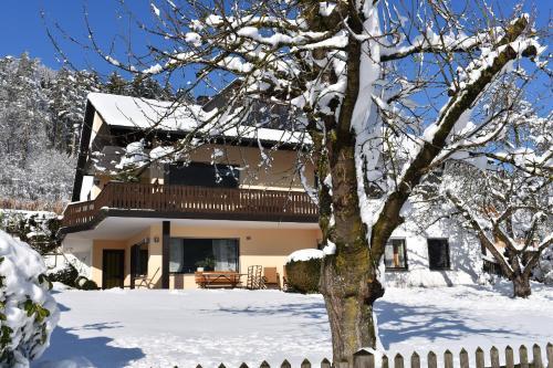 Apartamento Ferienwohnung Hanke