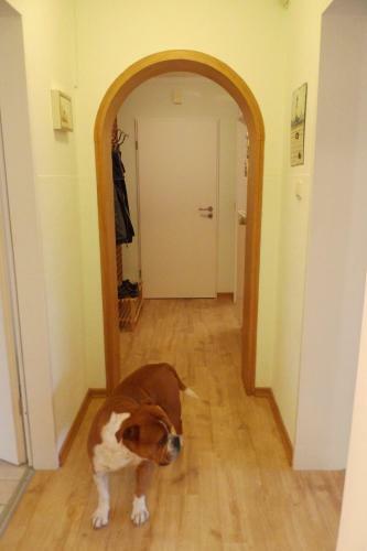 Apartamento Kiebitzhof Ferienwohnungen