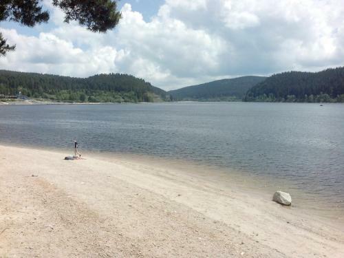 Apartamento Haus Schwarzwaldm�del