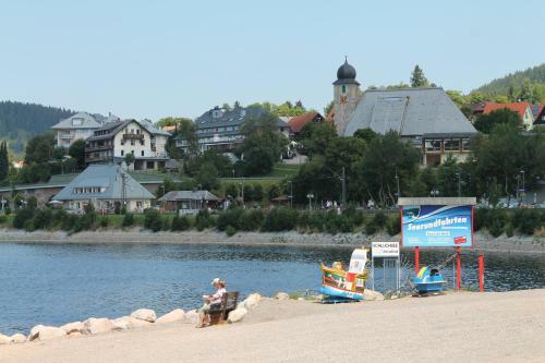 Apartamento Haus Schwarzwaldm�del