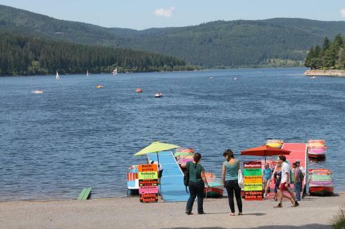 Apartamento Haus Schwarzwaldm�del
