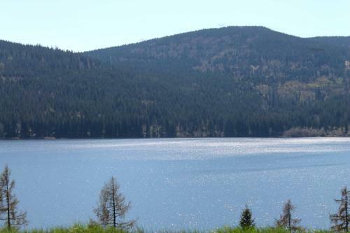 Apartamento Haus Schwarzwaldm�del