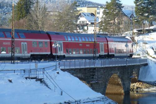 Apartamento Haus Schwarzwaldm�del