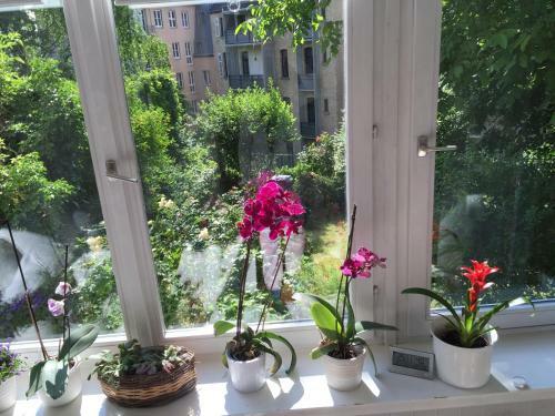 Apartamentos Kernerapartement