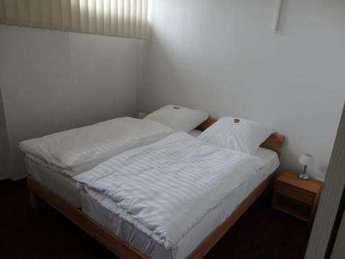 Hotel Zur Saale