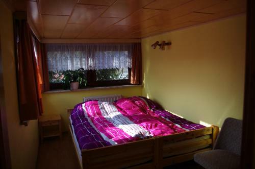 Apartamento Brockenblick-tourist