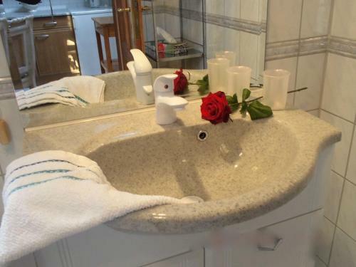 Sweet Harz Apartments