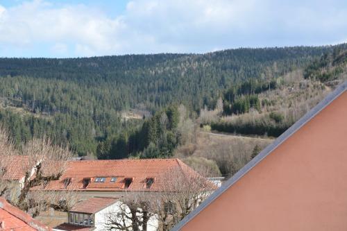 Posada Kronenwirt
