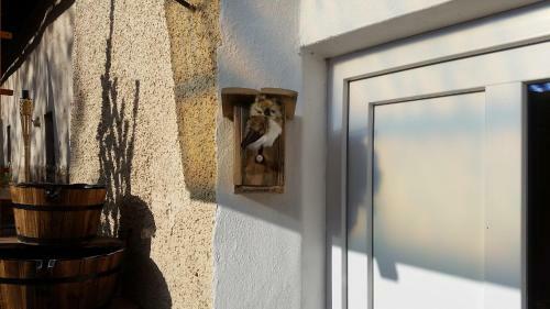 Apartamento Urlaubsnest