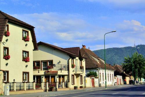 Bed & Breakfast Pensiunea Luiza
