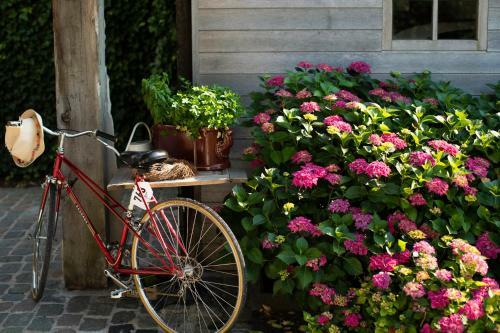 Flemish Cottage