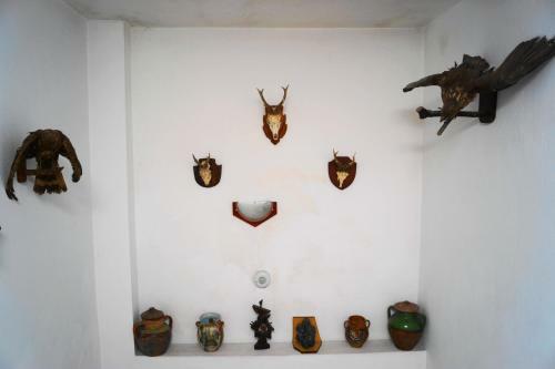 Hostal Guest House Perla