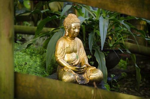 Bed & Breakfast The Secret Buddha
