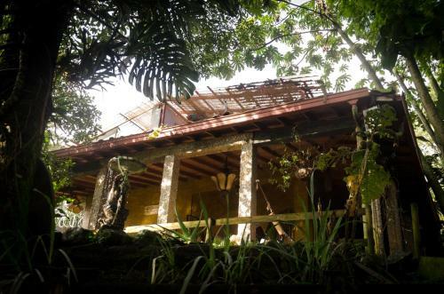 Bed & Breakfast The Secret Buddha