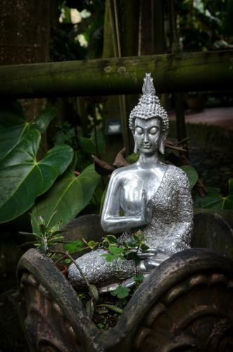 Bed & Breakfast The Secret Buddha