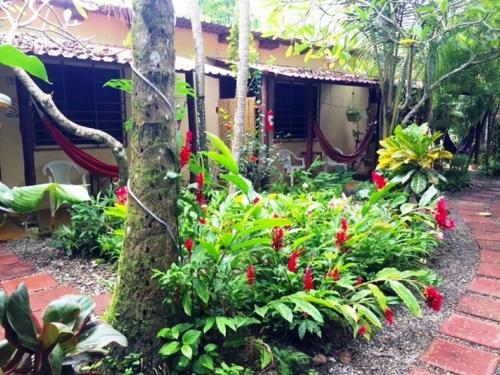 Hotel Tropical Sands Dominical Eco Inn
