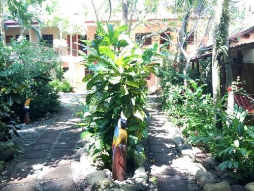 Hotel Tropical Sands Dominical Eco Inn