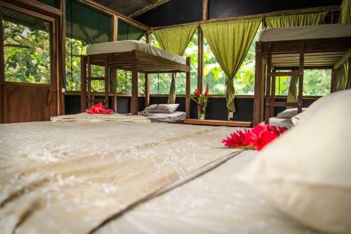Hotel Naguala Jungle Lodge