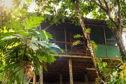 Hotel Naguala Jungle Lodge