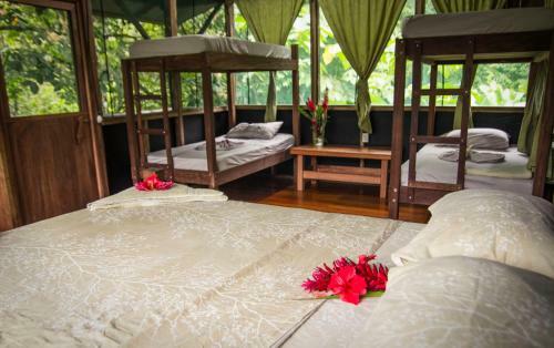 Hotel Naguala Jungle Lodge