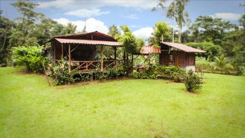Hotel Naguala Jungle Lodge