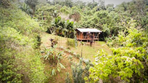 Hotel Naguala Jungle Lodge