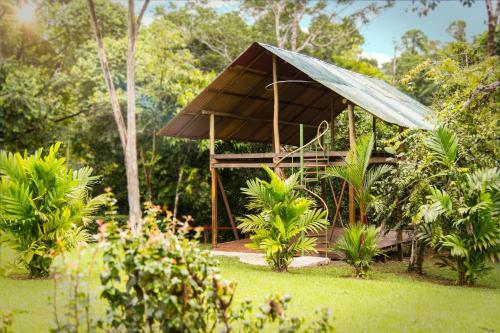 Hotel Naguala Jungle Lodge