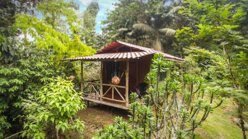 Hotel Naguala Jungle Lodge