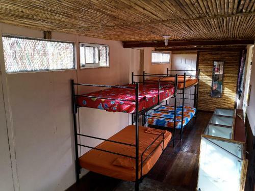 Albergue The Spot