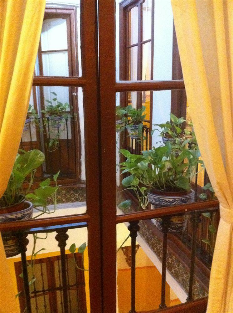 Bed & Breakfast Naranjo