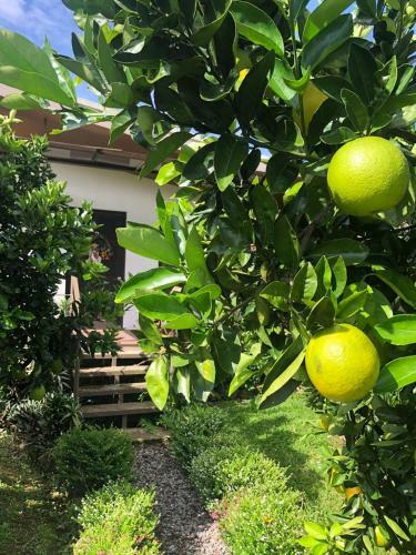 Lodge Villas Ca�averal
