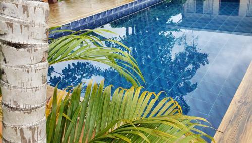 Saltish Hotel & Villas