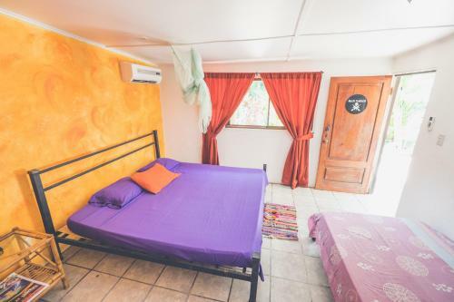 Pura Vida Hostel Tamarindo