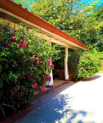 Bed & Breakfast Casa Mapache