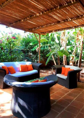 Bed & Breakfast Casa Mapache