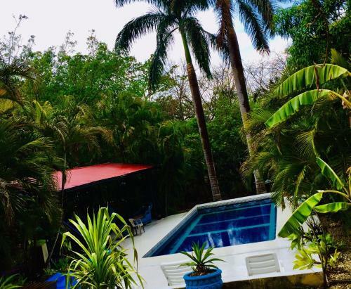 The Orchid Tree B&B Costa Rica