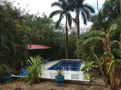 The Orchid Tree B&B Costa Rica
