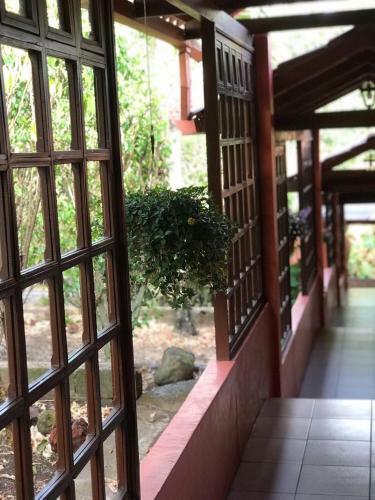 The Orchid Tree B&B Costa Rica