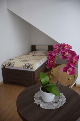 Hostel Novak