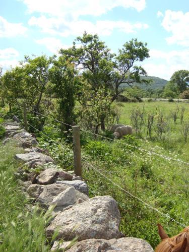 Agroturismo La Badila