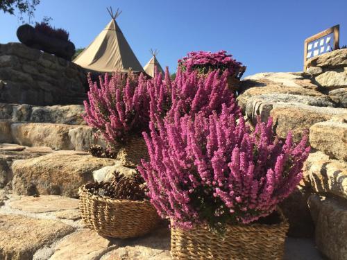 Agroturismo La Badila